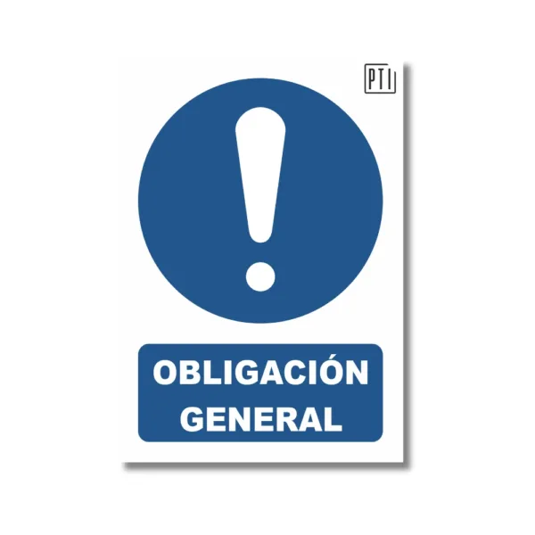OBLIGACIÓN GENERAL